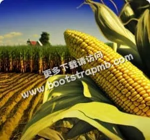 多元服务，满足所需 - 旺财28